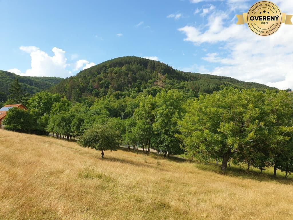 Orná pôda 2 x 6.000m2 v obci Prašník. okr. Piešťany